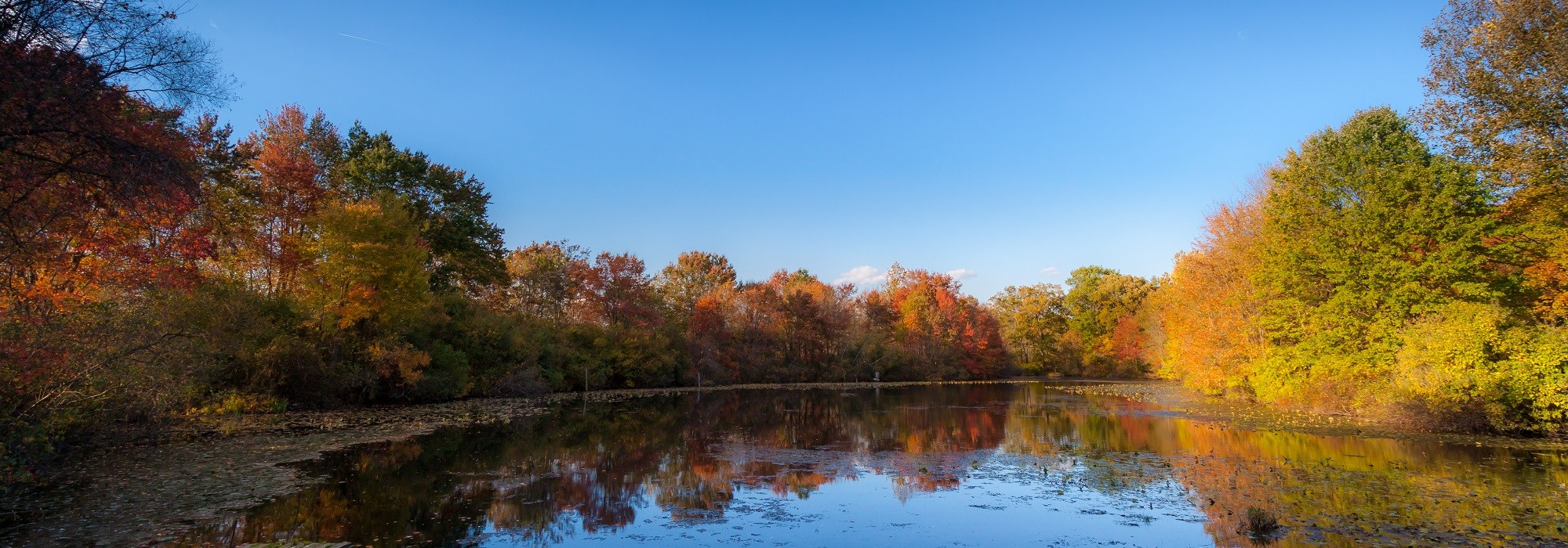 Dentist Warren NJ Cosmetic Dentistry, Family Dentistry Stirling NJ